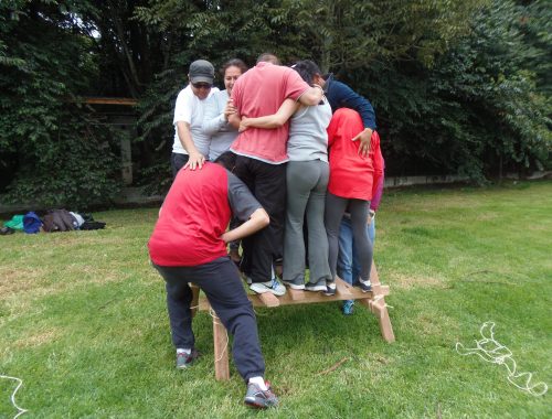 Trabajando en Equipo en el Jardín Botánico de Bogotá
